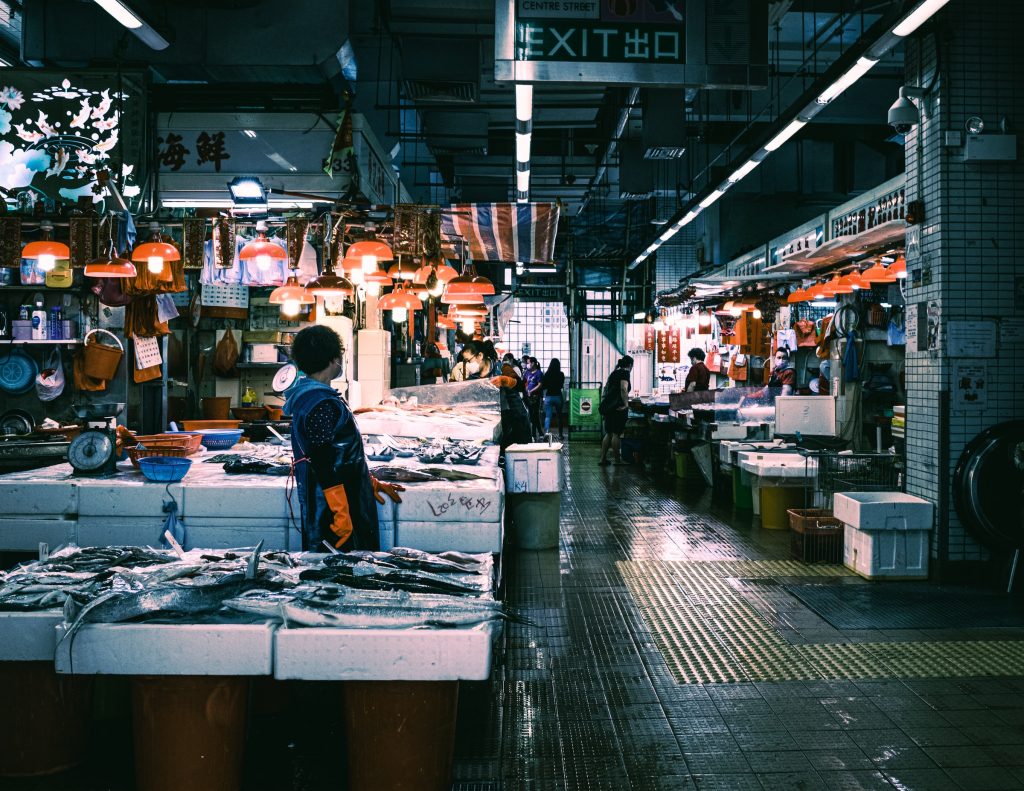 fish